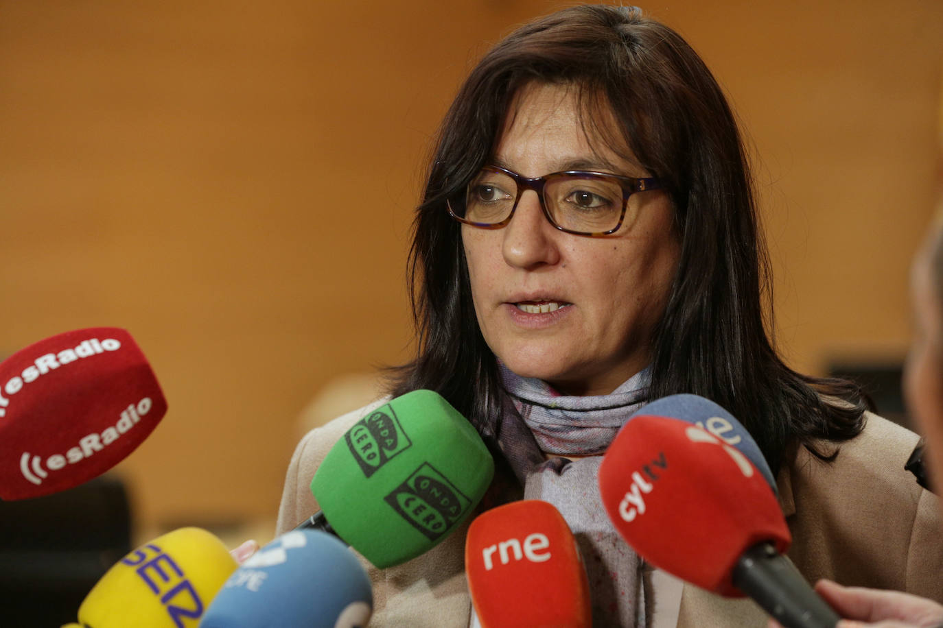 Las Cortes constituyeron este miércoles la comisión de investigación sobre el análisis de las ayudas recibidas por Castilla y León en el marco de los planes estratégicos del carbón, la segunda que preside Ciudadanos, con la diputada por Ávila, Inmaculada Gómez, en el marco del acuerdo de investidura con el PP.
