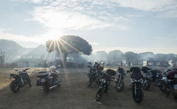 La nueva sede, al amanecer en la zona con menos arbolado. 