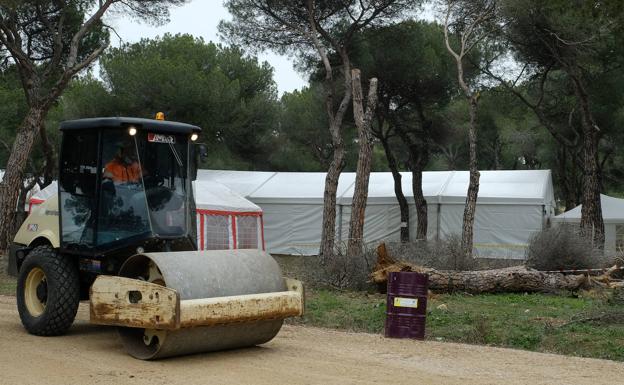 La apisonadora compacta el camino. Al fondo, uno de los árboles caídos durante el temporal junto a otro con las ramas cortadas. 