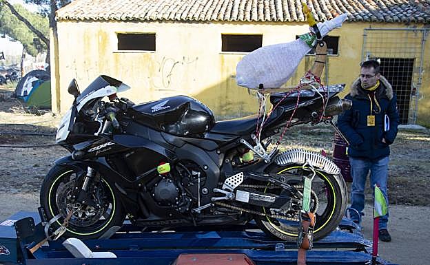 Un compañero de viaje capaz de alegrar las penas. 