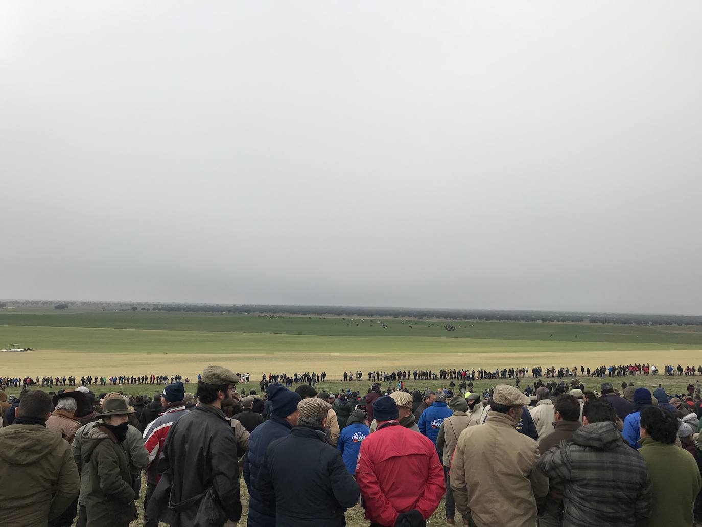 Miles de aficionados han esperado a que levantara la niebla para asistir a la primera jornada del Campeonato Nacional de Galgos. 