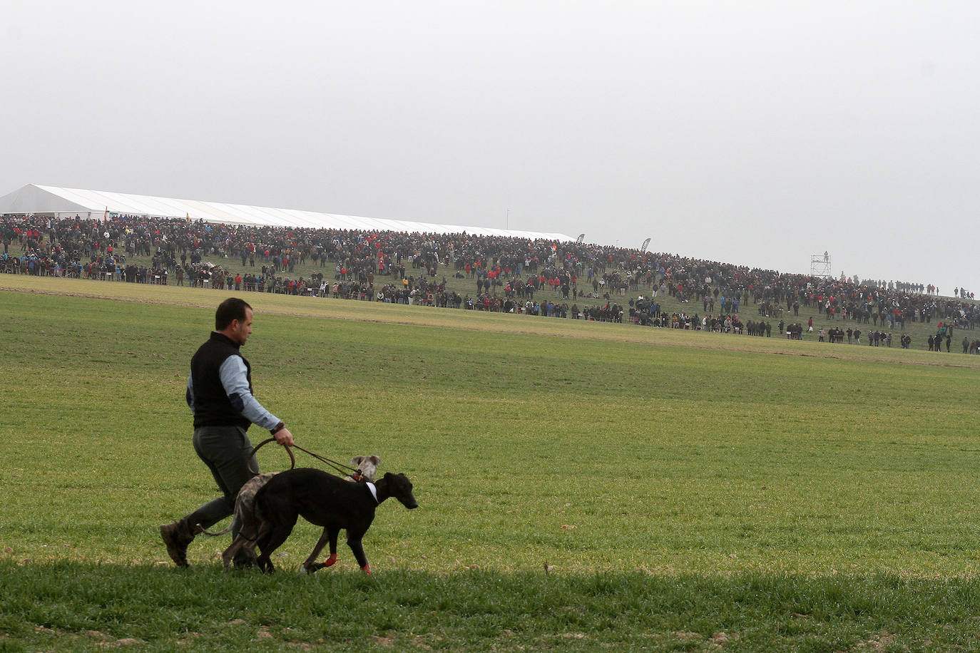 Miles de aficionados han esperado a que levantara la niebla para asistir a la primera jornada del Campeonato Nacional de Galgos. 