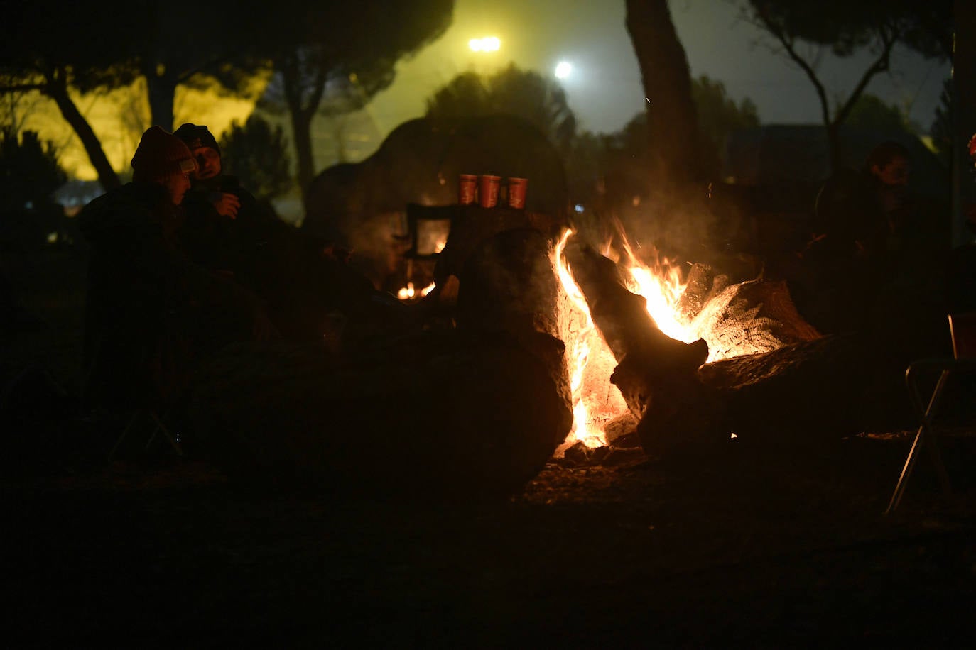 Nochevieja pingüinera y conciertos para calentar la noche helada