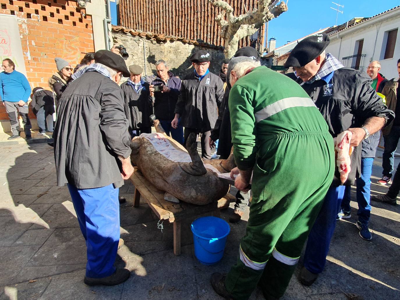 Fotos: Linares de Riofrío disfruta de su matanza tradicional