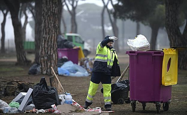 Retirada de basura en el pinar. 