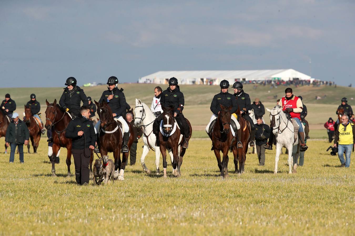 Los perros castellanos y leoneses demuestran su superioridad y cuatro representantes de los cinco que tenía la comunidad se meten en la siguiente fase 