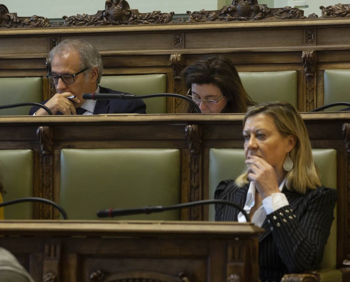 Fotos: Pleno en el Ayuntamiento de Valladolid