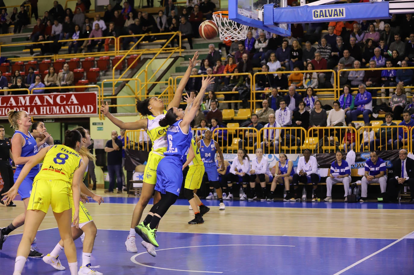 Fotos: Las imágenes del encuentro entre el CB Avenida y Cadí La Seu (71-61)