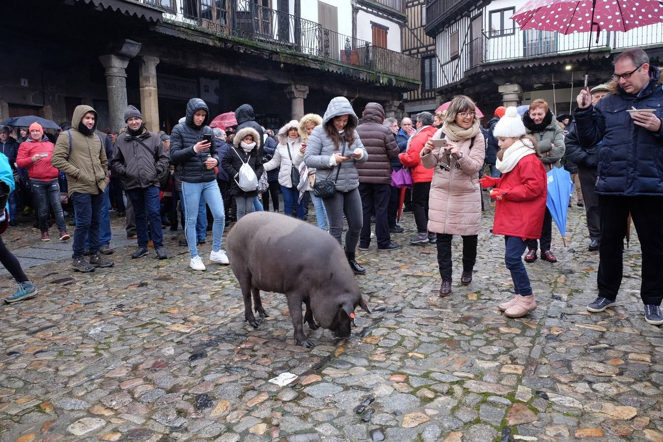 Un día grande para el municipio salmantino, que este año ha contado con la asistencia, como invitado especial, de Vicente del Bosque