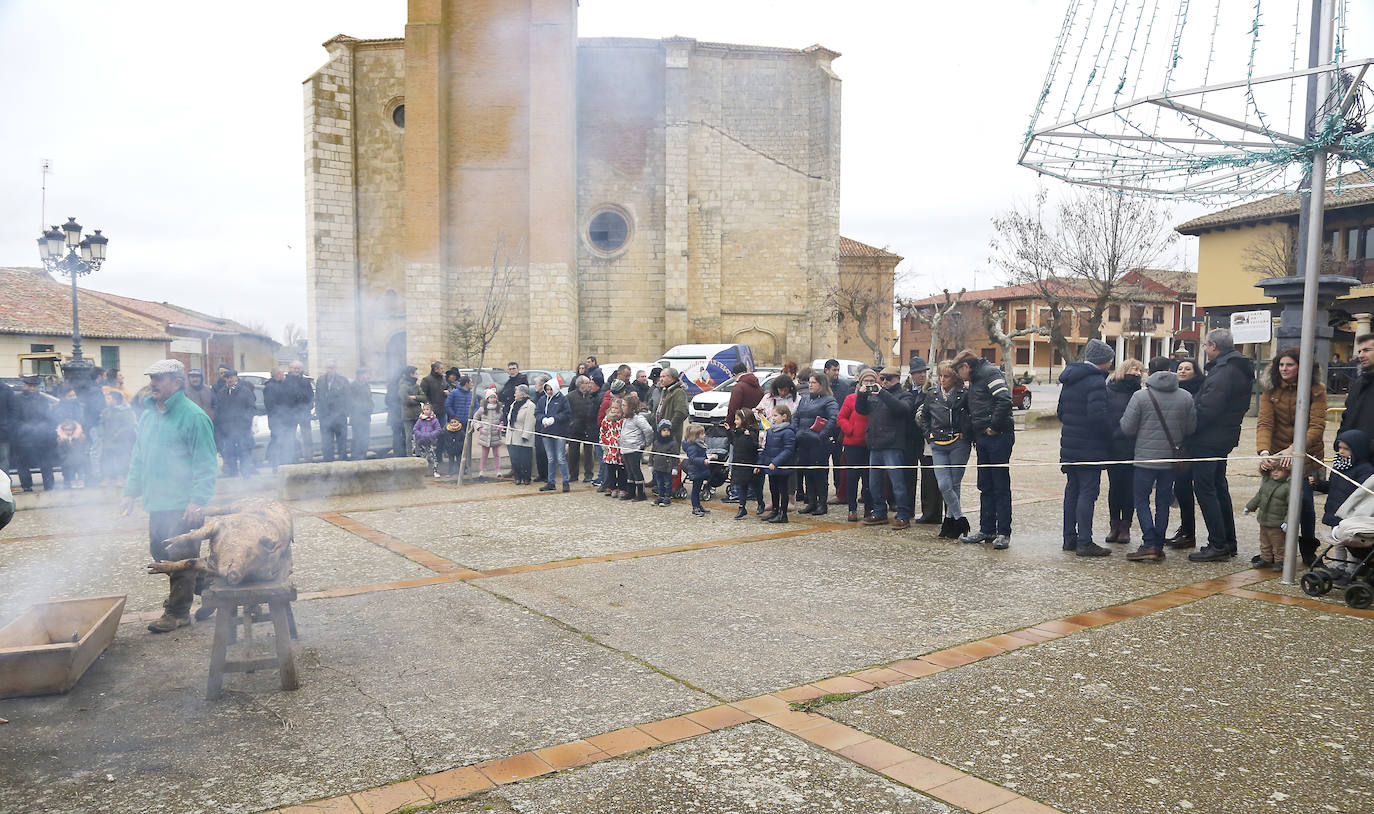 La matanza y reparto de jijas y morcilla en Becerril.
