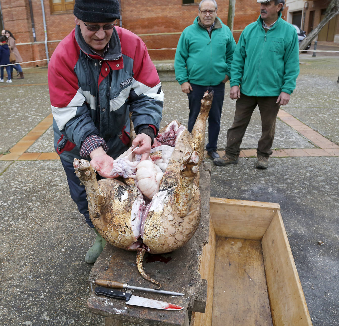 La matanza y reparto de jijas y morcilla en Becerril.