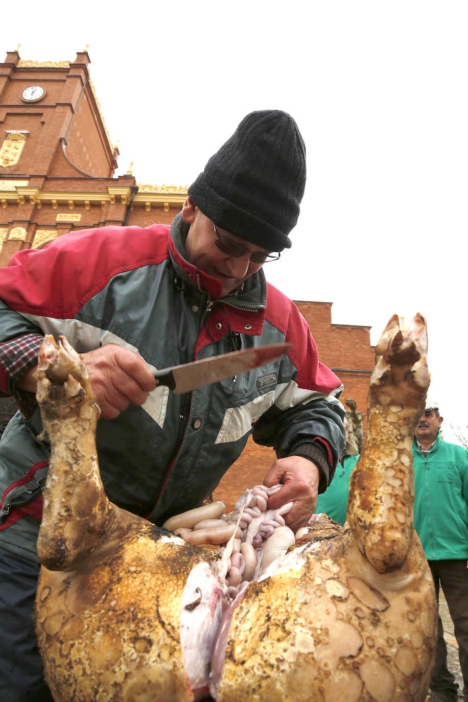 La matanza y reparto de jijas y morcilla en Becerril.