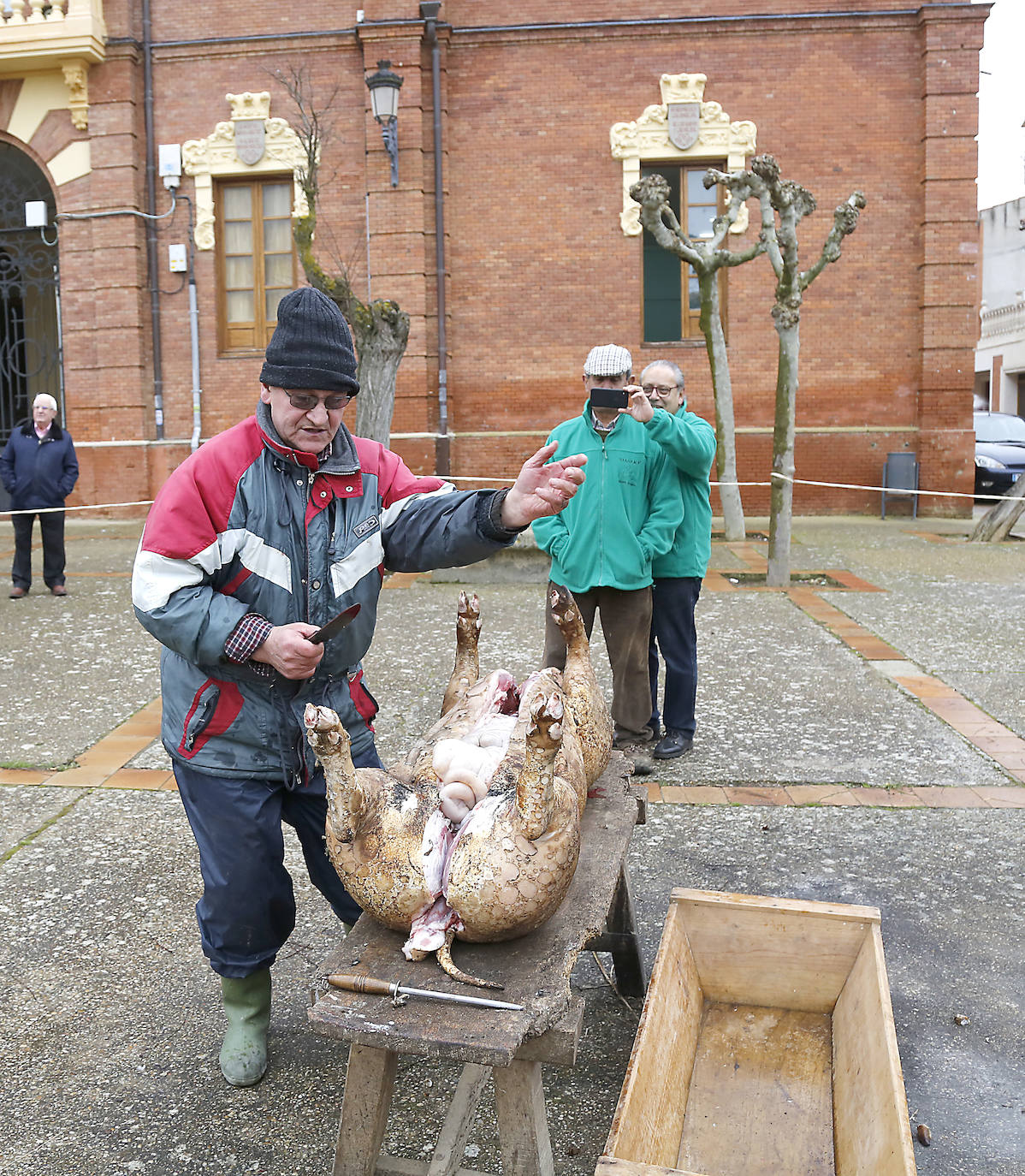 La matanza y reparto de jijas y morcilla en Becerril.