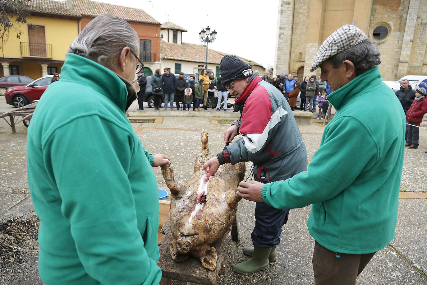 La matanza y reparto de jijas y morcilla en Becerril.