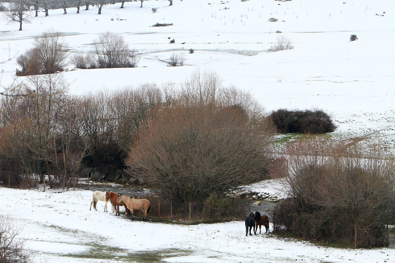 La nieve afecta a las poblaciones y carreteras de montaña.