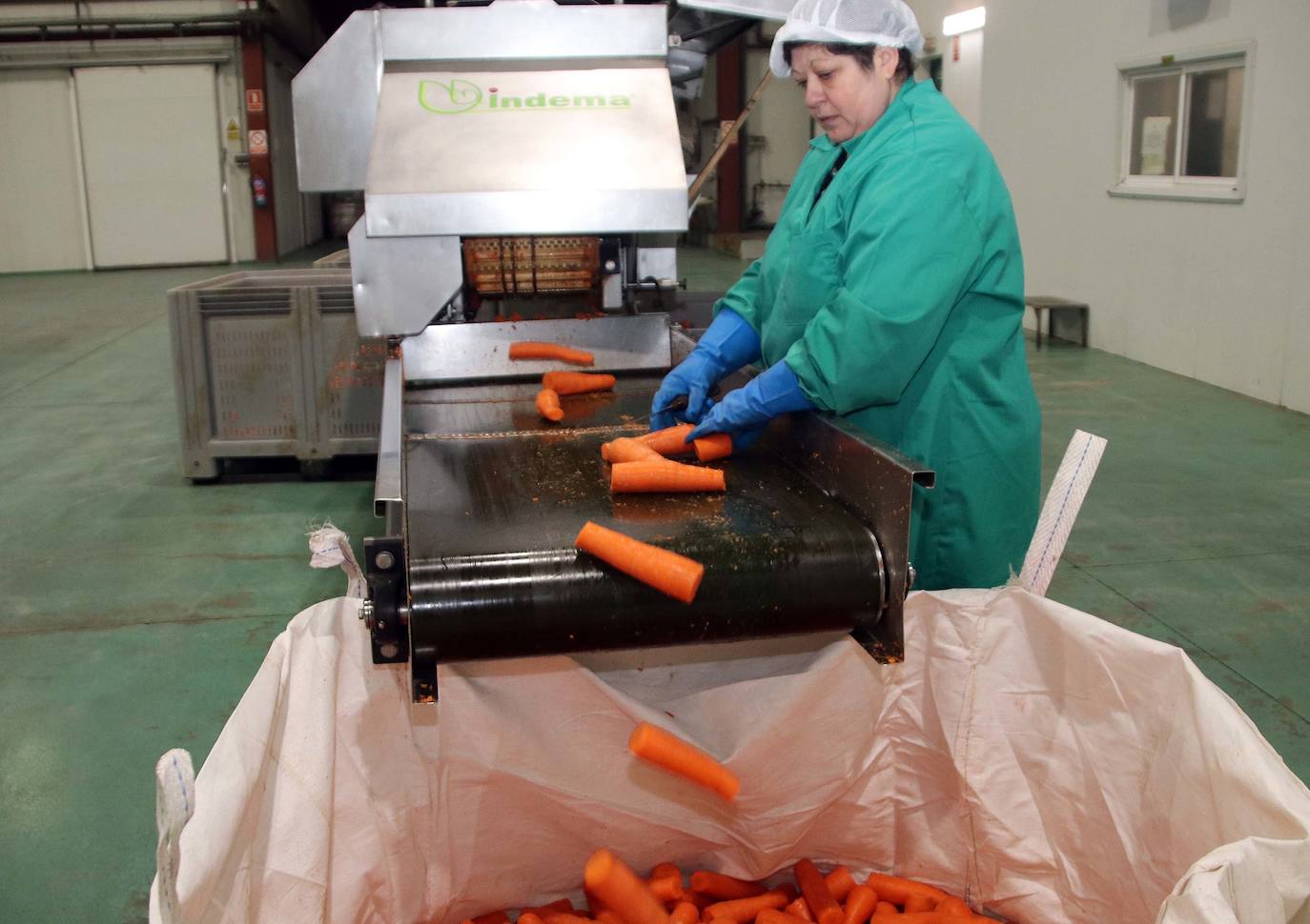 Fotos: El consejero de Agricultura visita la cooperativa Glus en Sanchonuño