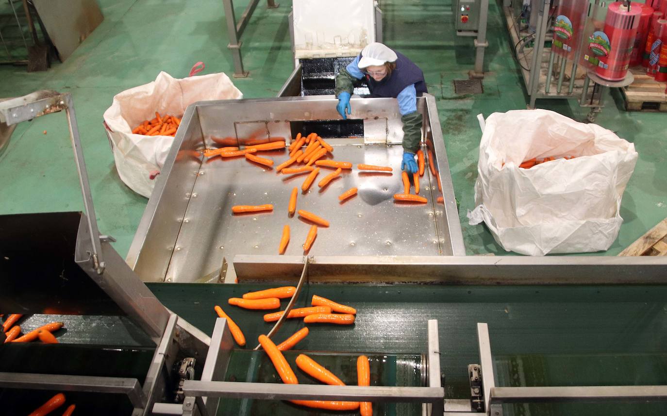 Fotos: El consejero de Agricultura visita la cooperativa Glus en Sanchonuño