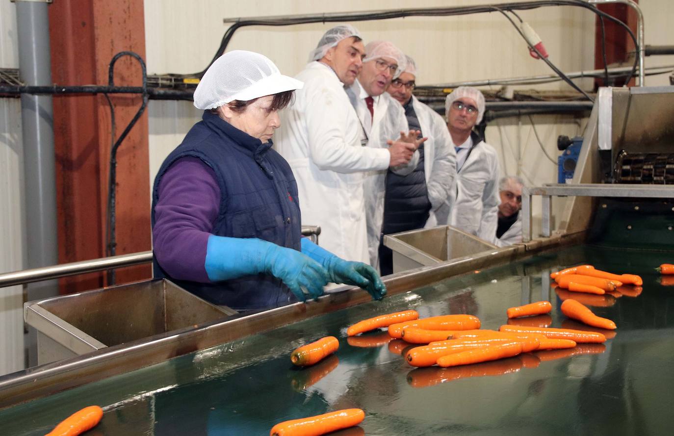 Fotos: El consejero de Agricultura visita la cooperativa Glus en Sanchonuño