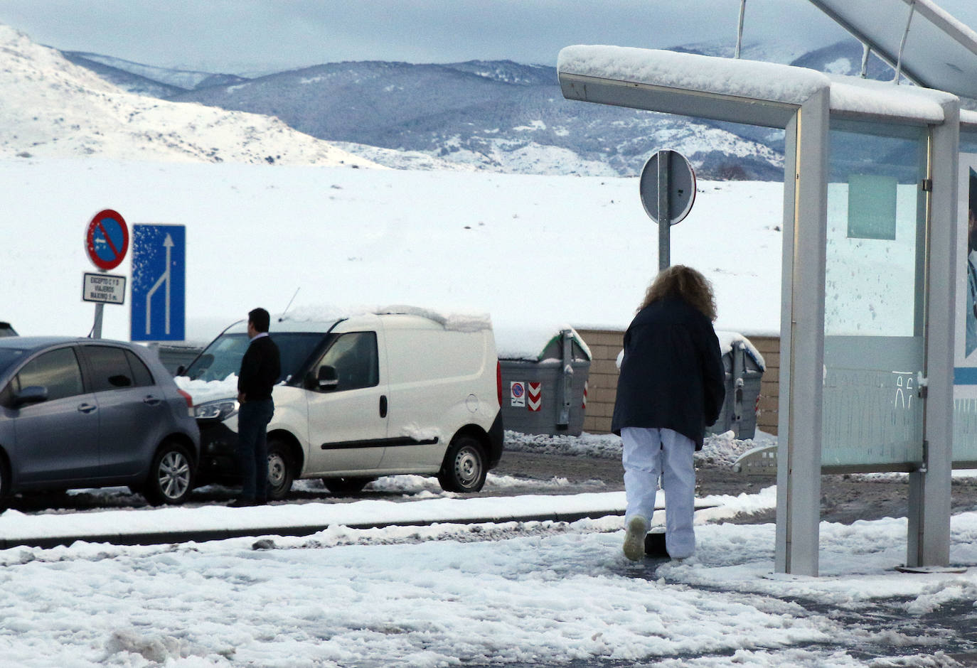 Nevada en Segovia y provincia 