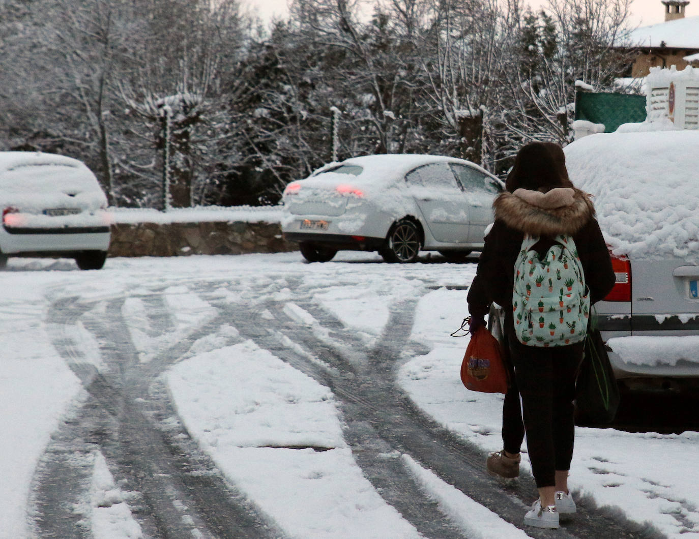 Nevada en Segovia y provincia 