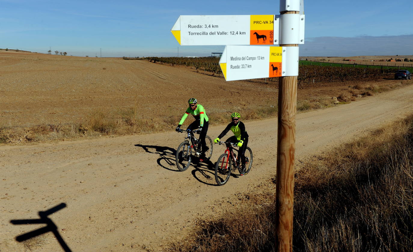 Castilla y León tiene ocho Rutas del Vino oficialmente reconocidas
