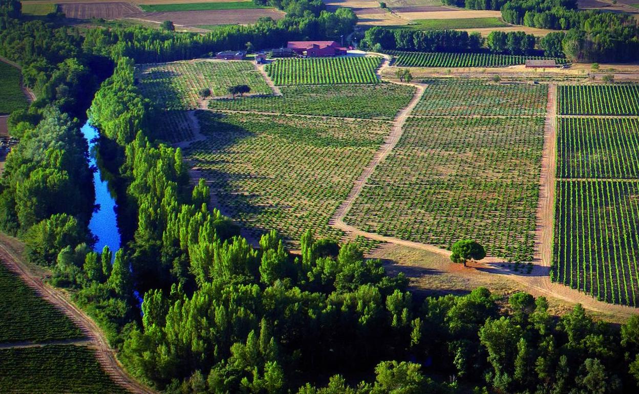 González Byass lanza sus primeros vinos de la bodega adquirida en el corazón de Ribera del Duero