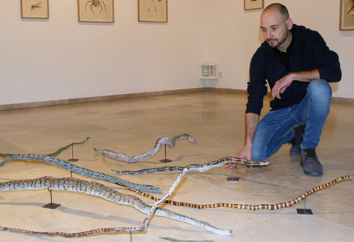 Exposición de José María Yagüe en el Museo Esteban Vicente 