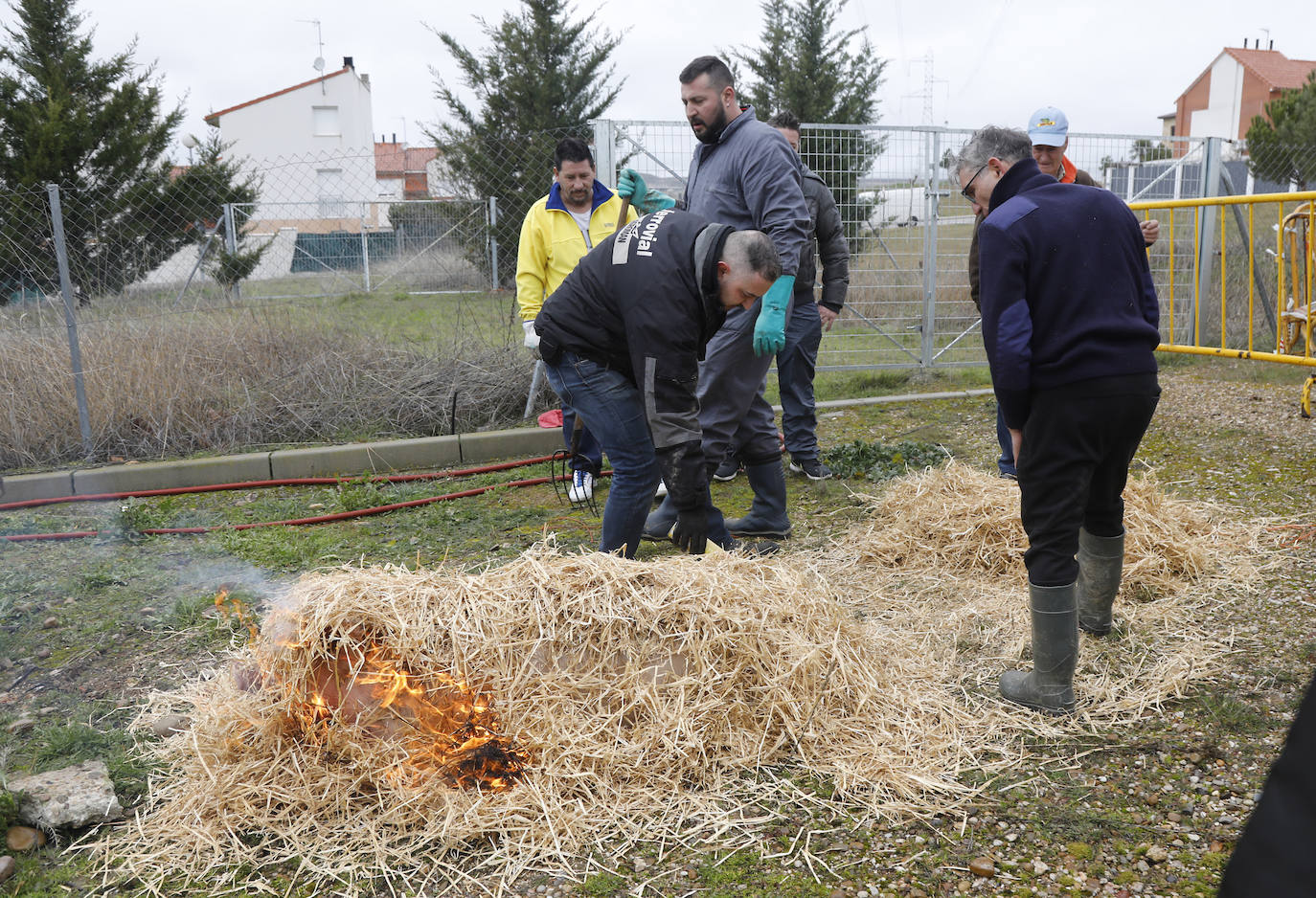 Fiesta de la matanza en Villalobón. 