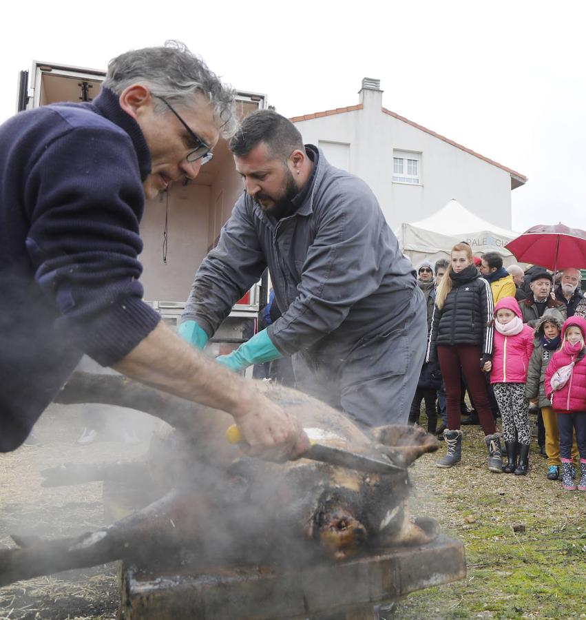 Fiesta de la matanza en Villalobón. 