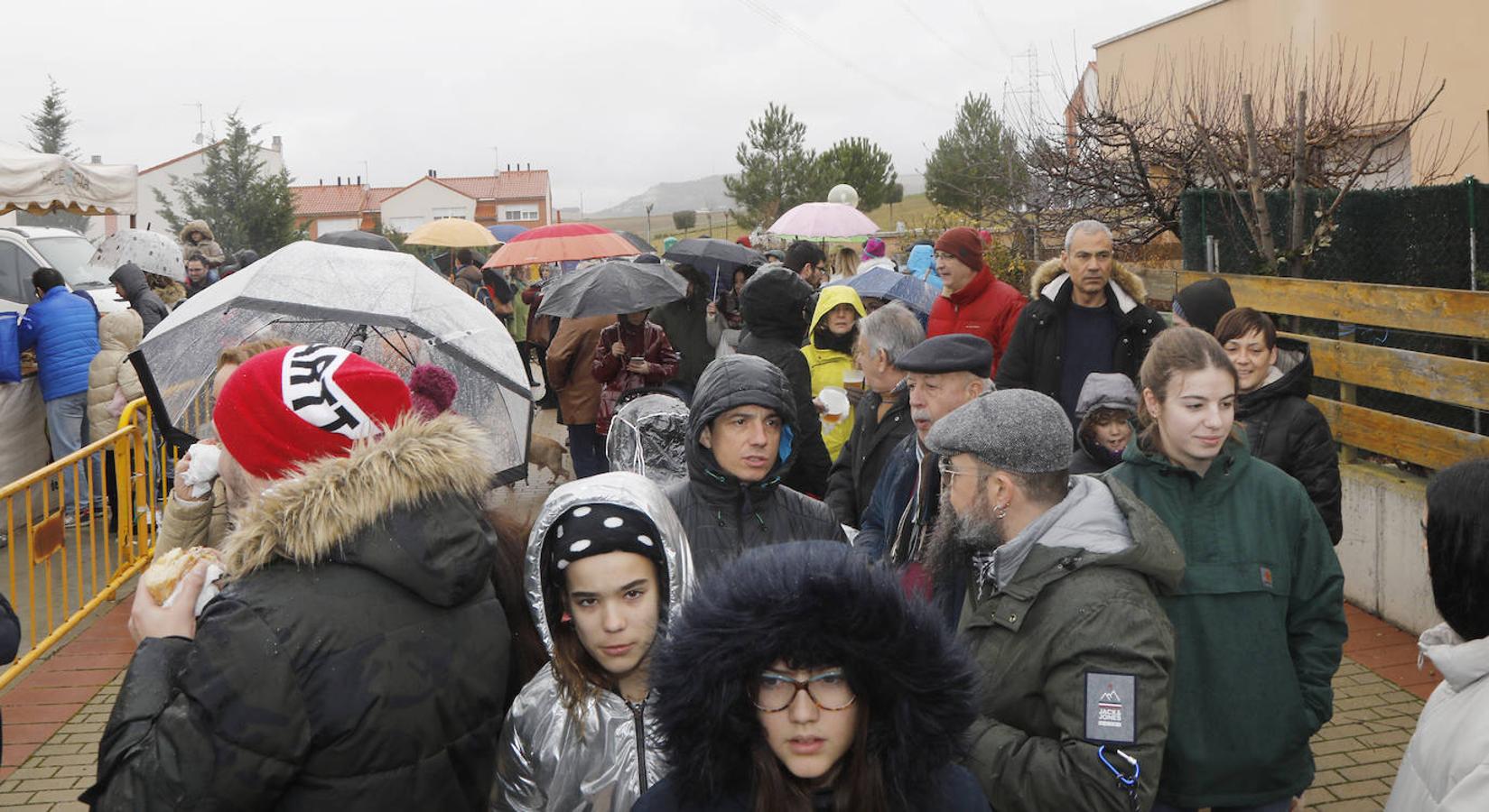 Fiesta de la matanza en Villalobón. 
