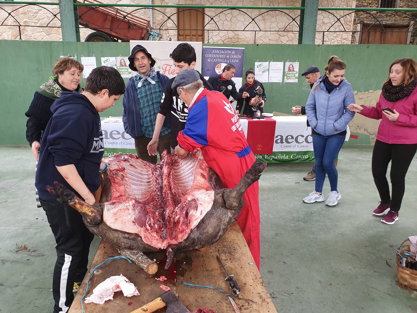 Garcibuey, Madroñal y San Esteban de la Sierra acogieron ayer esta celebración convertida en fiesta.