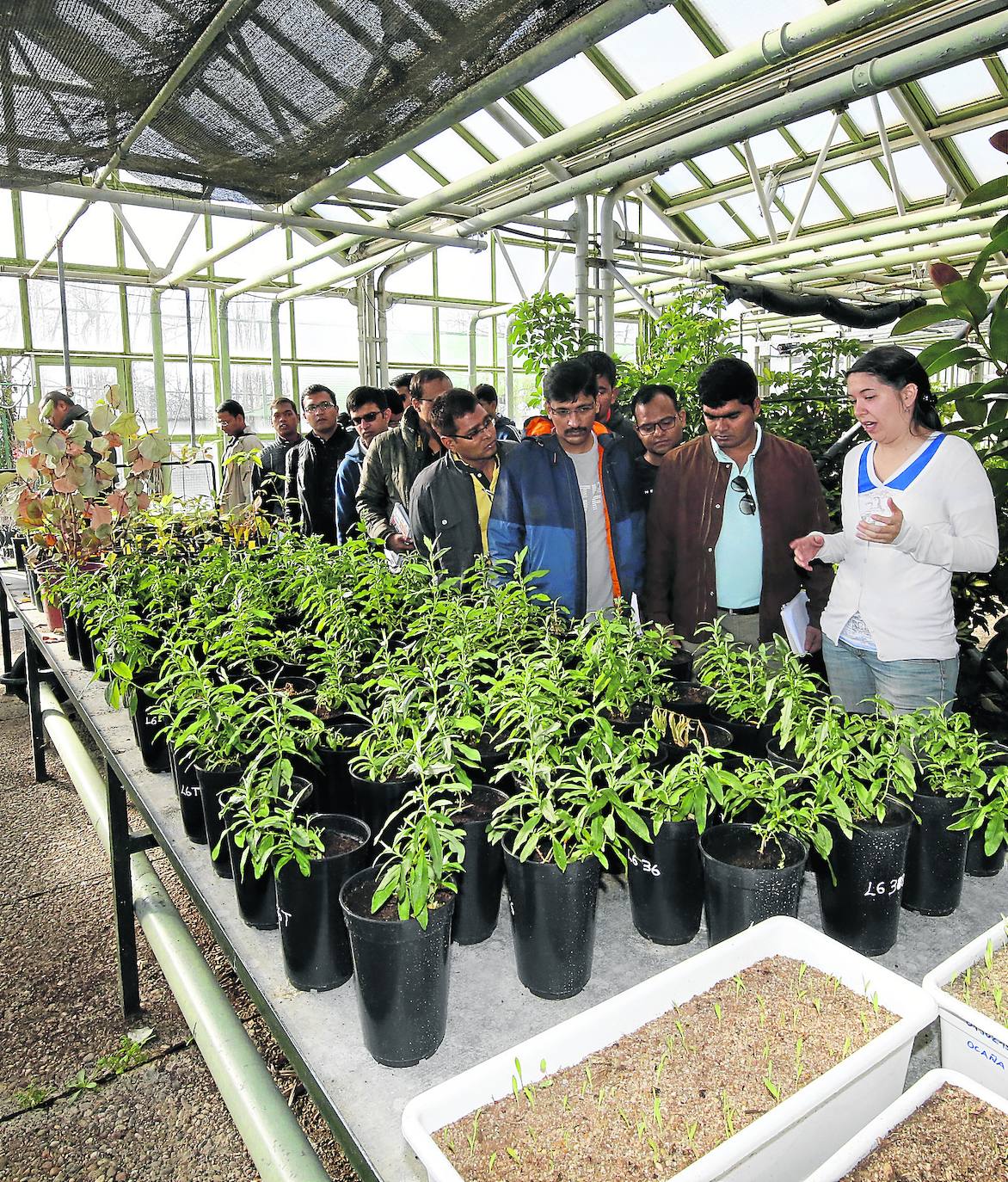 Ingenieros agrónomos hindúes, en una visita a los invernaderos de la Escuela Agraria. 