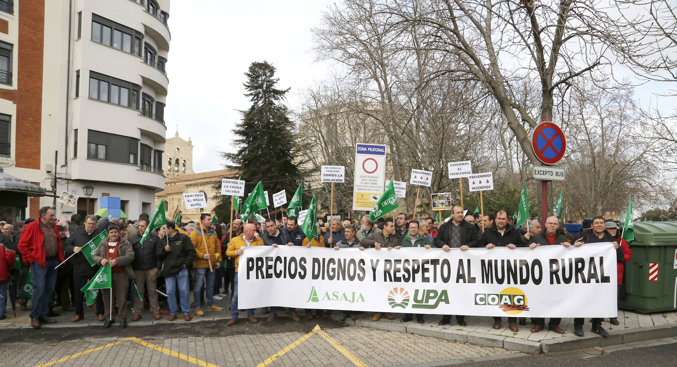Manifestación por unos precios justos y en defensa del medio rural organizada por Asaja, UPA y Coag..