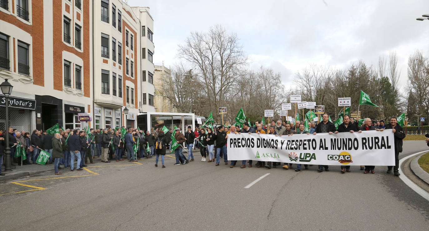 Manifestación por unos precios justos y en defensa del medio rural organizada por Asaja, UPA y Coag..