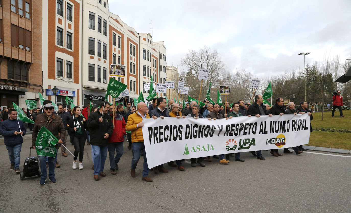 Manifestación por unos precios justos y en defensa del medio rural organizada por Asaja, UPA y Coag..