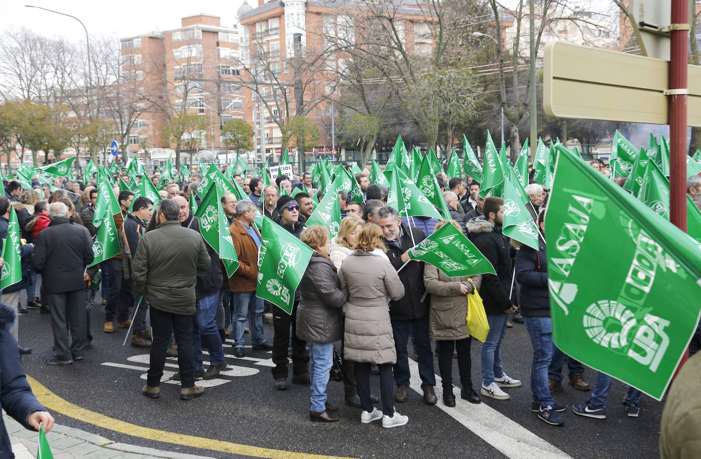 Manifestación por unos precios justos y en defensa del medio rural organizada por Asaja, UPA y Coag..