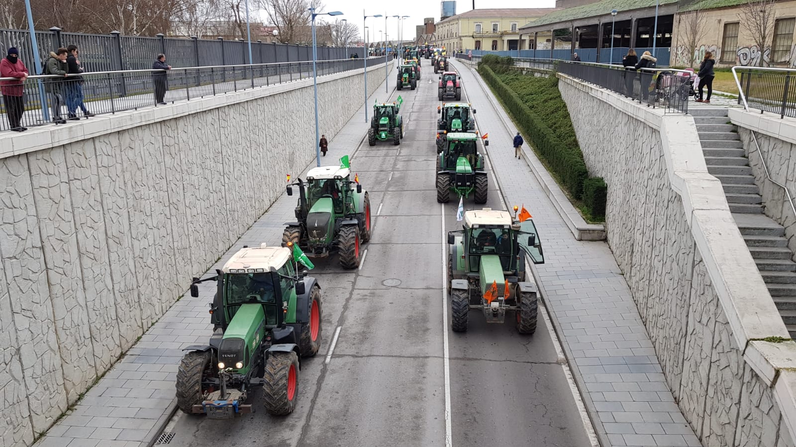 Unas 3.000 personas, acompañados por unos 300 sectores, según cifras aportadas por los organizadores, han recorrido este jueves las calles de la ciudad de Salamanca para «hacerse oír» y «pedir apoyo» para el campo.