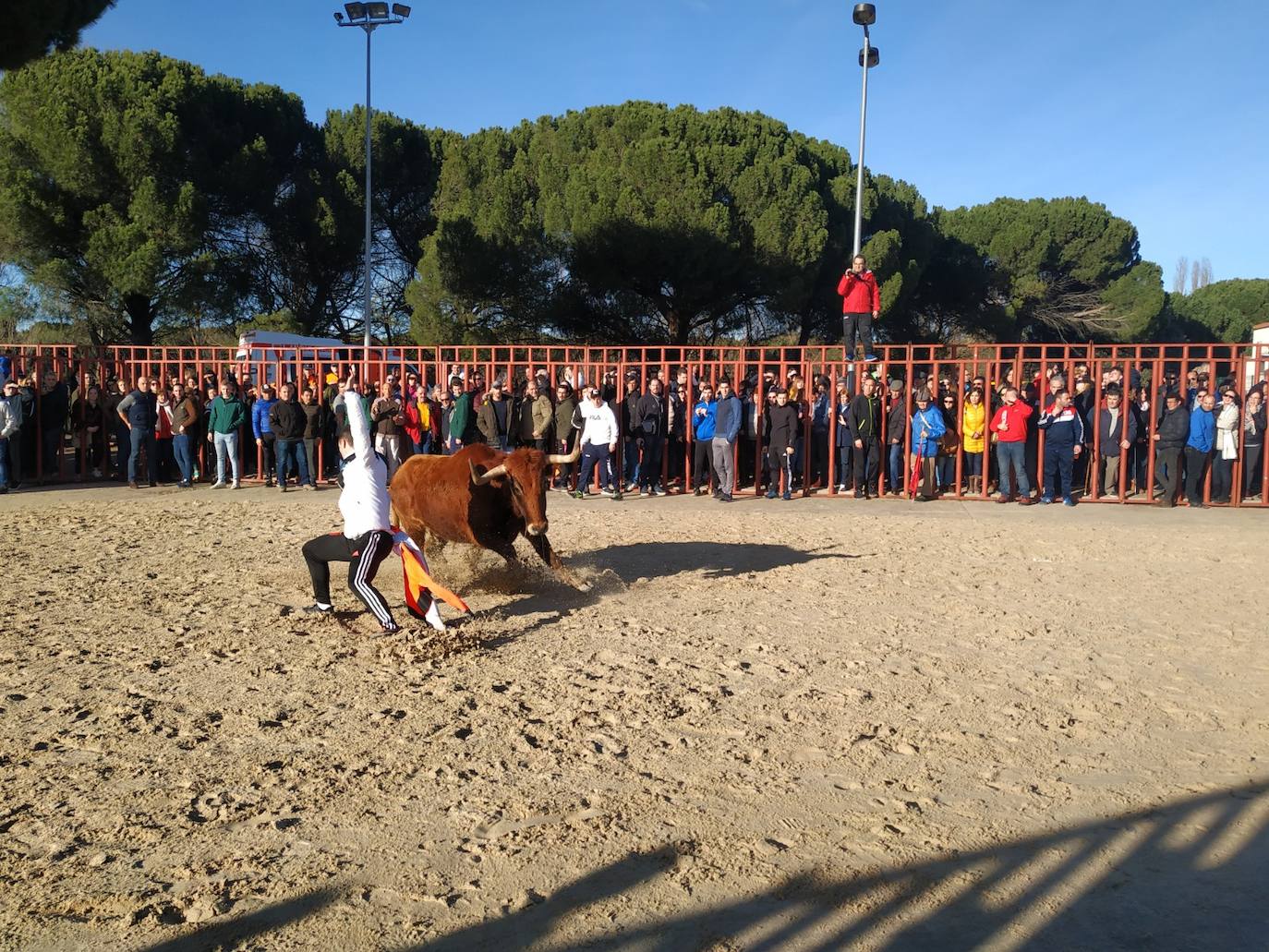 Fotos: El encierro de Viana de Cega, en imágenes