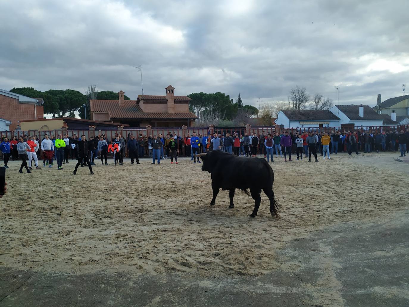 Fotos: El encierro de Viana de Cega, en imágenes