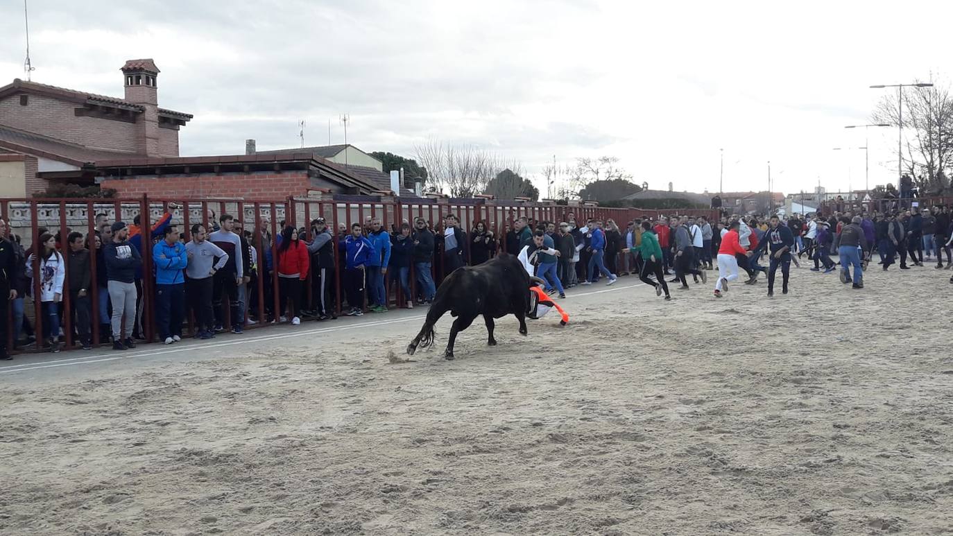 Fotos: El encierro de Viana de Cega, en imágenes