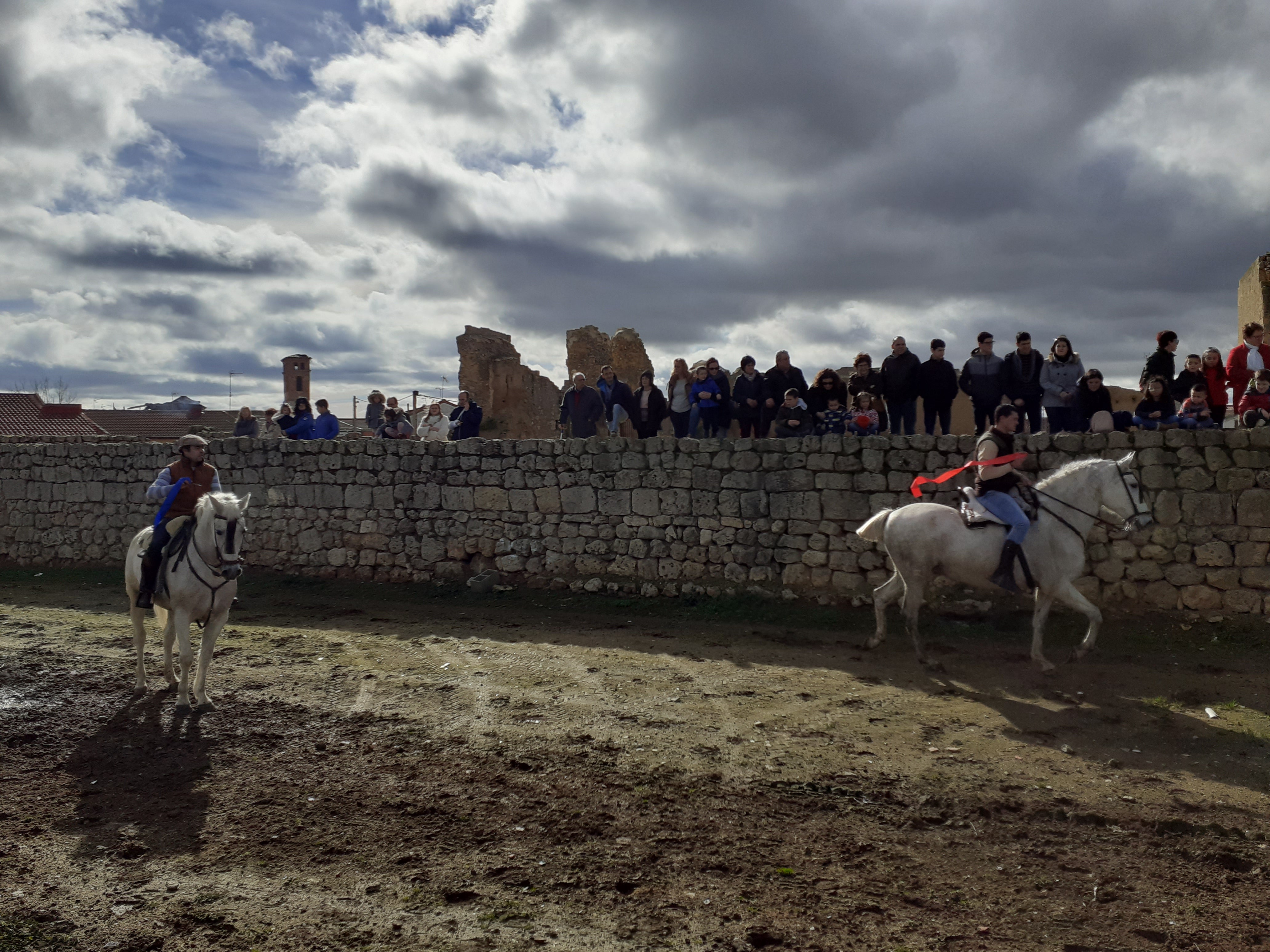 Fotos: Cintas a caballo fiestas de Villagarcía de Campos