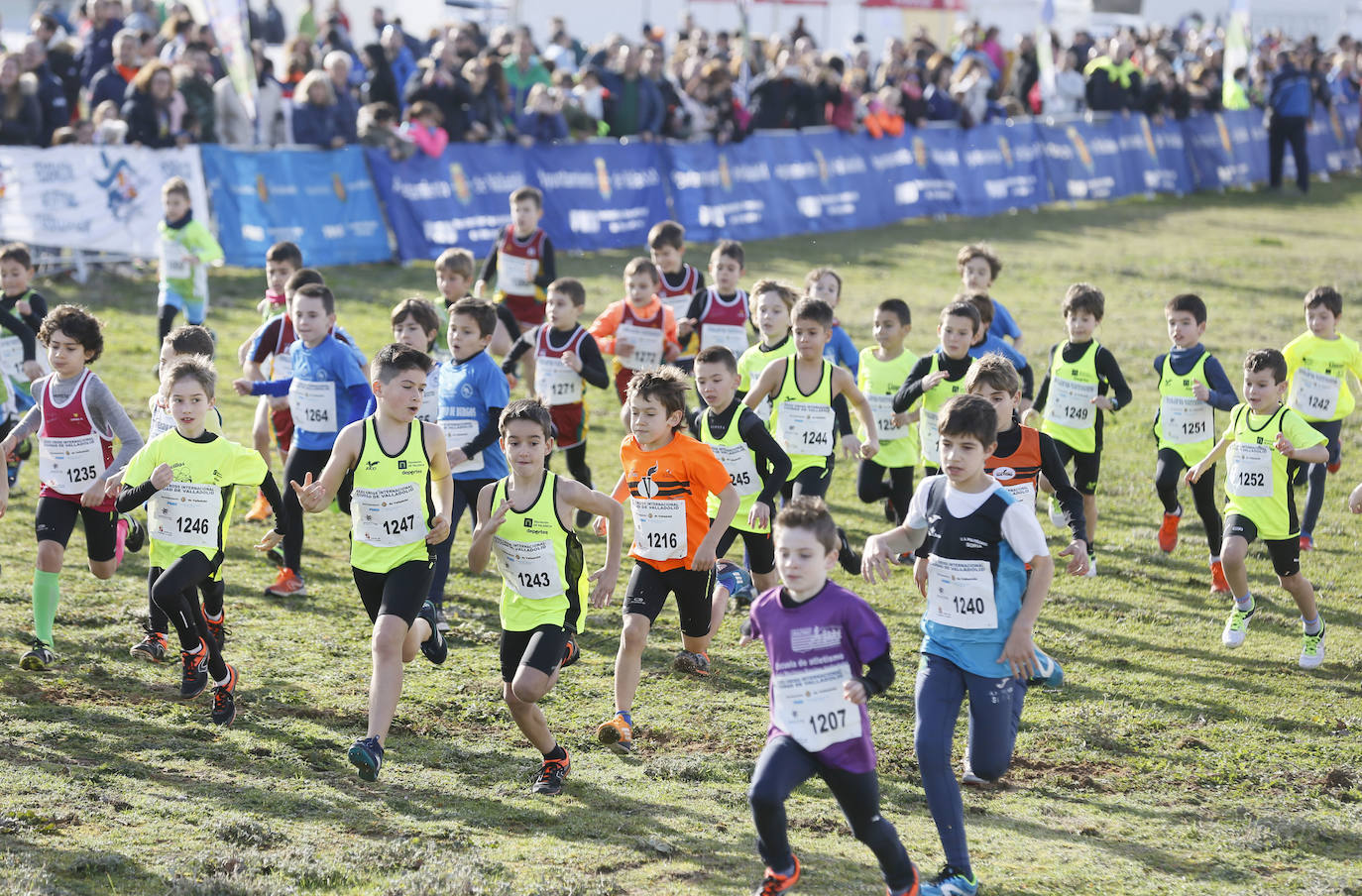 La Cañada Real ha acogido esta mañana el Cross Internacional Ciudad de Valladolid. 