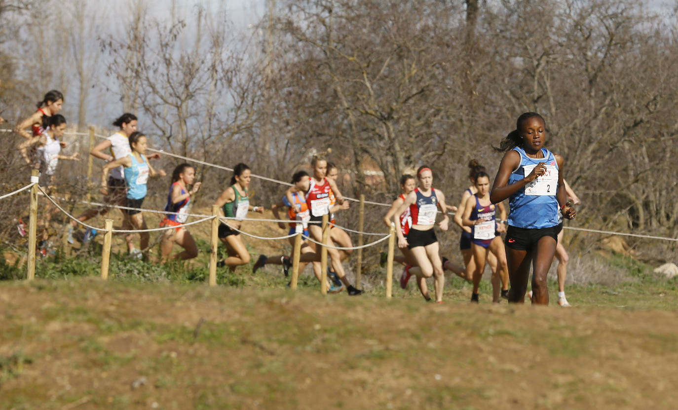 La Cañada Real ha acogido esta mañana el Cross Internacional Ciudad de Valladolid. 
