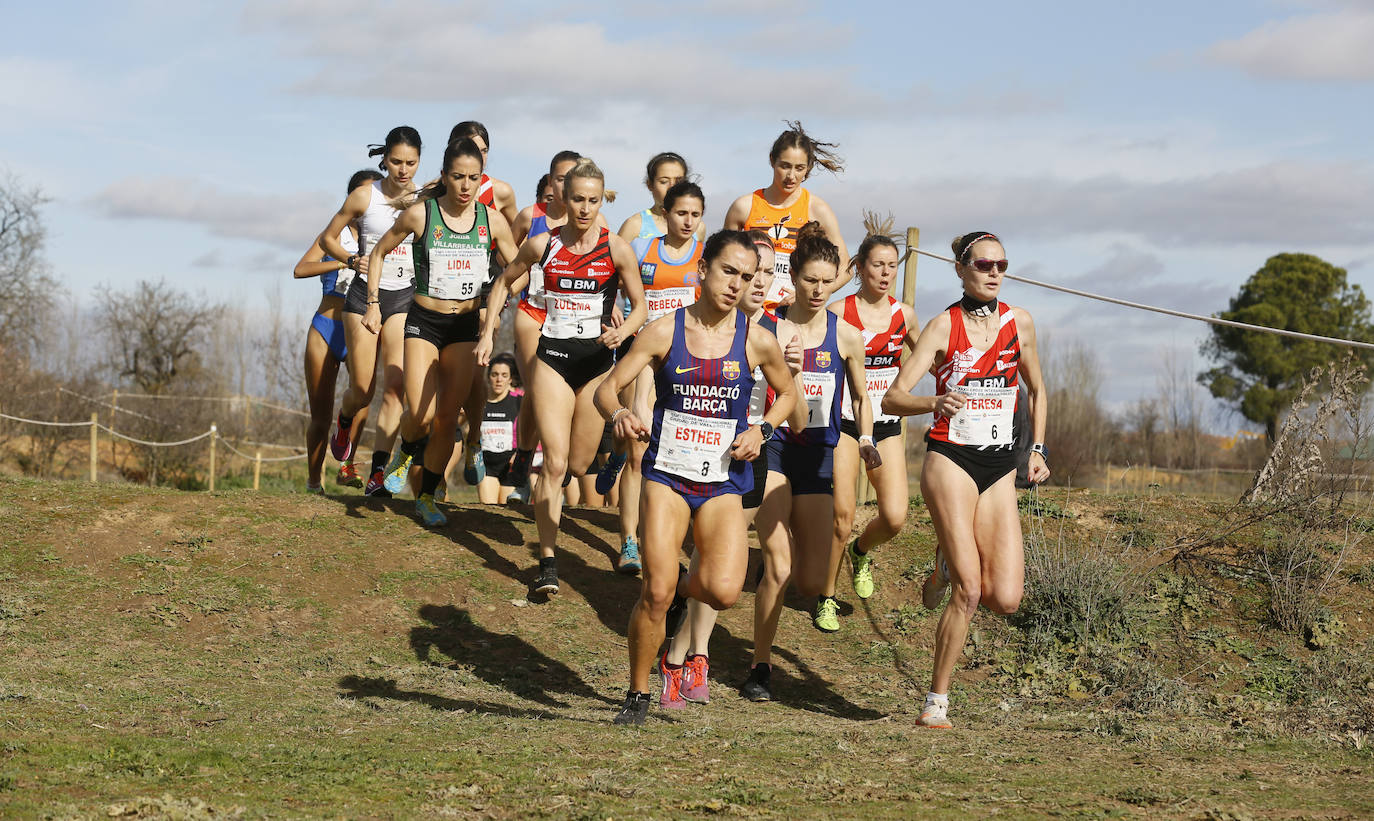 La Cañada Real ha acogido esta mañana el Cross Internacional Ciudad de Valladolid. 
