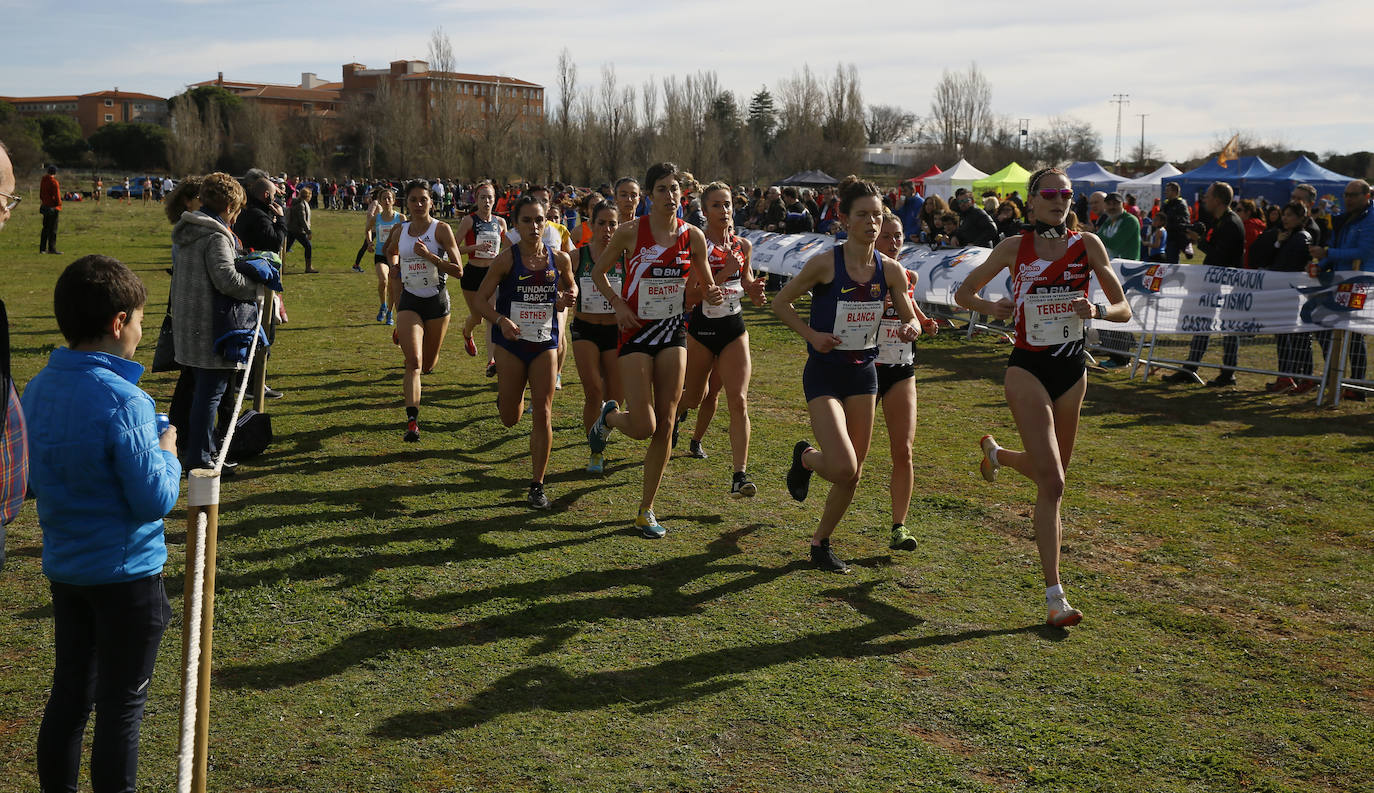 La Cañada Real ha acogido esta mañana el Cross Internacional Ciudad de Valladolid. 