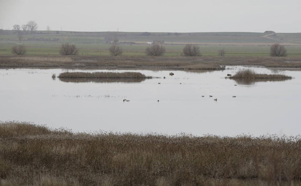 La Laguna de la Nava, vista desde el observatorio de aves. 