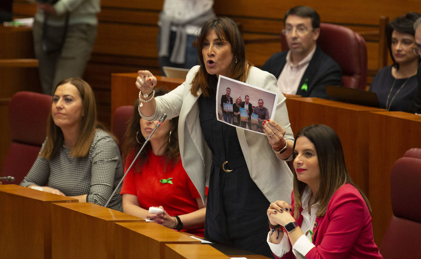 Pleno en las Cortes de Castilla y León.