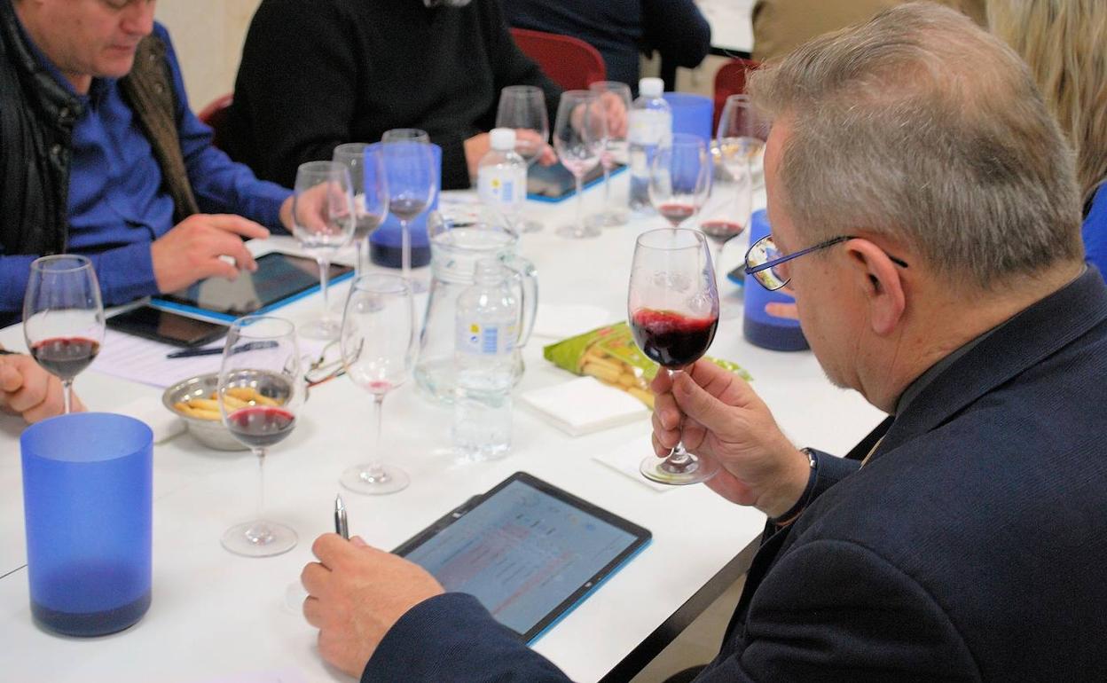 Desarrollo de las catas a ciegas de la final de los VII Premios MonoVino. 