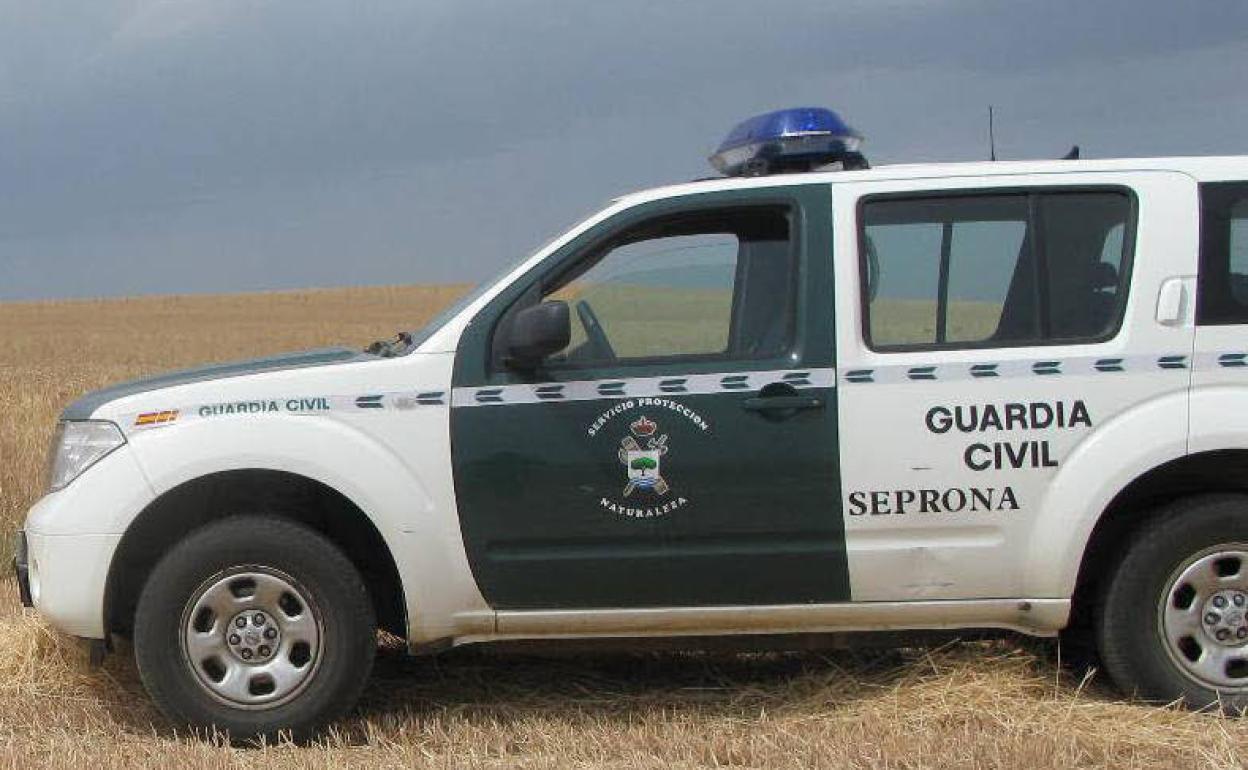 Unidad del Seprona de la Guardia Civil. 