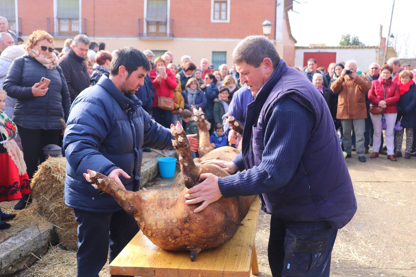 Fiesta de la matanza en Palazuelo de Vedija (1/2)